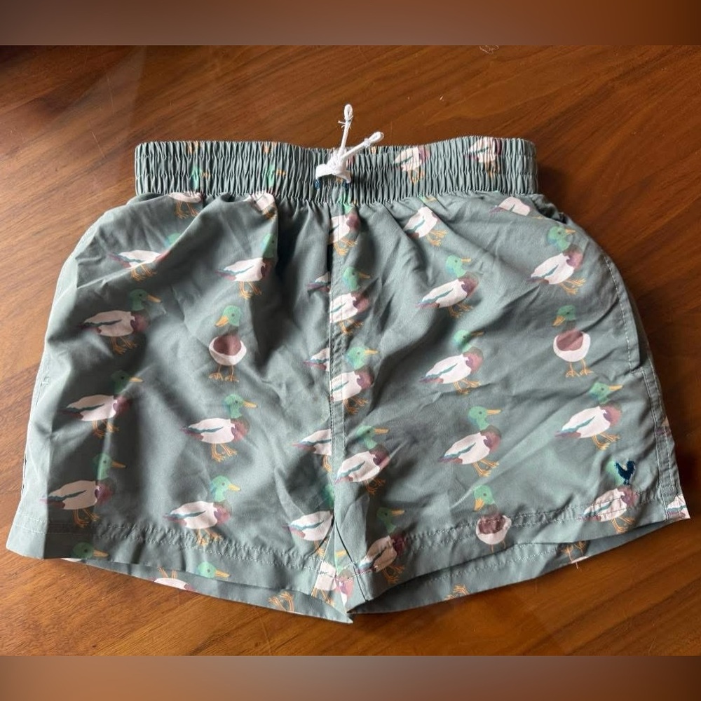 PINK CHICKEN GREEN MALLARD FRIENDS SWIM TRUNKS 6Y EUC